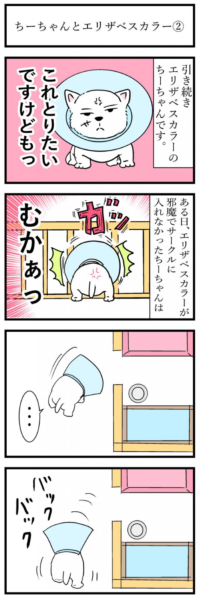 ちーちゃんですけどもっ【第117話】