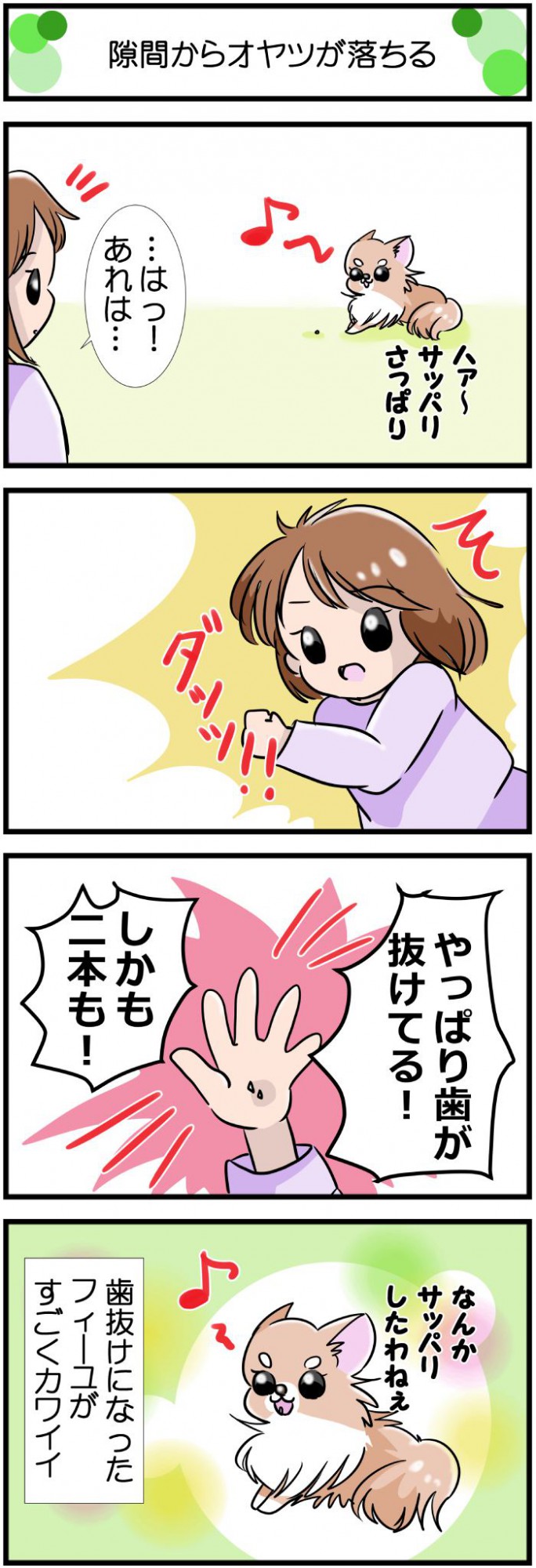 かわうそちわわ。【その518】