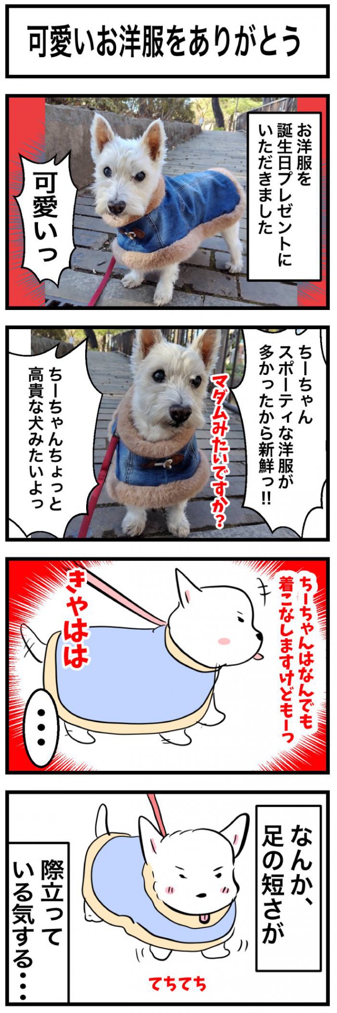 ちーちゃんですけどもっ【第344話】 1