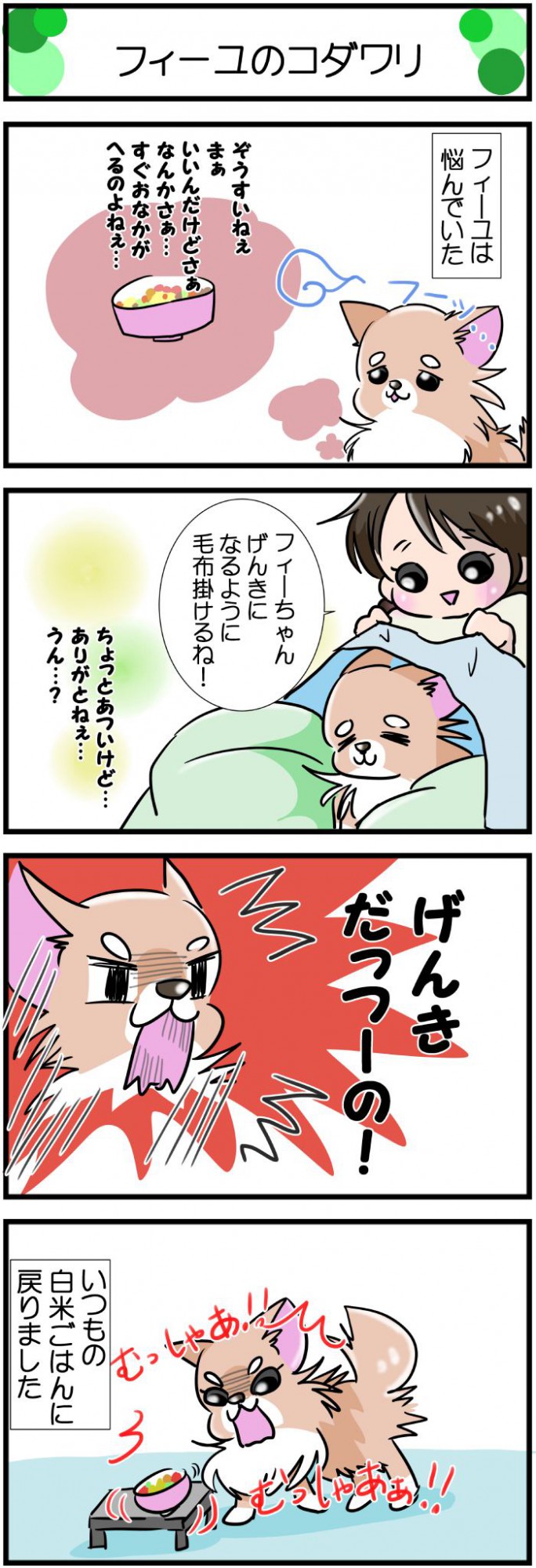 かわうそちわわ。【その578】