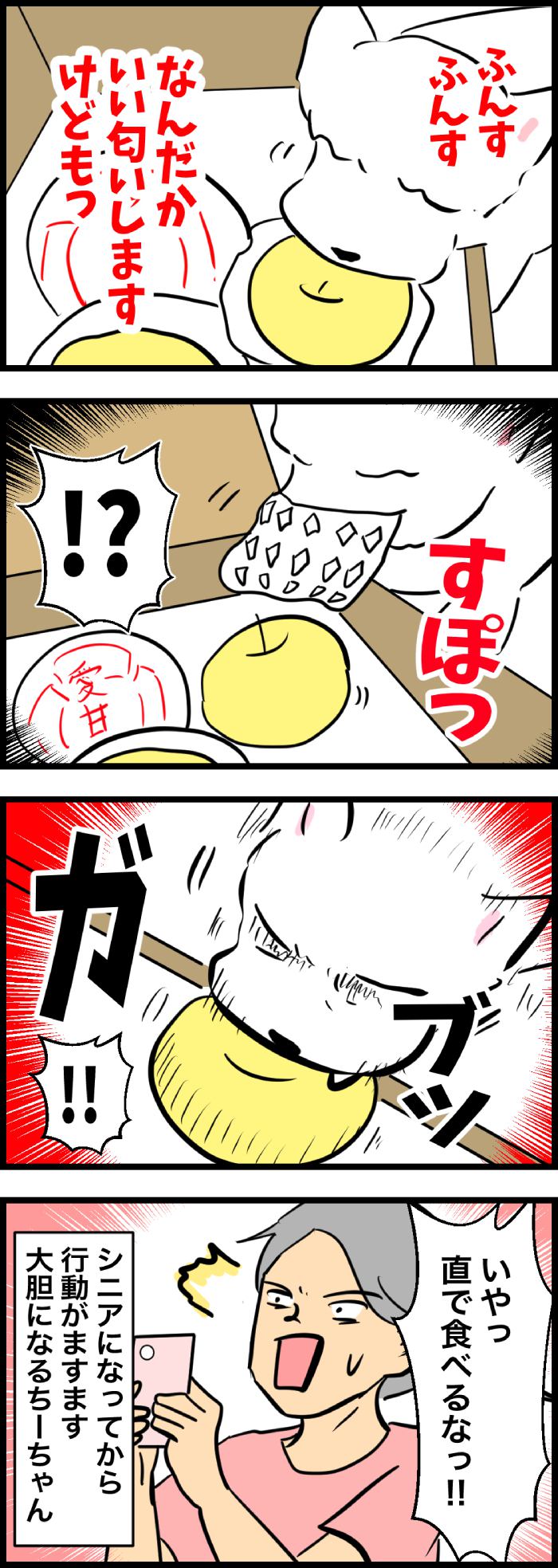 ちーちゃんですけどもっ【第321話】２