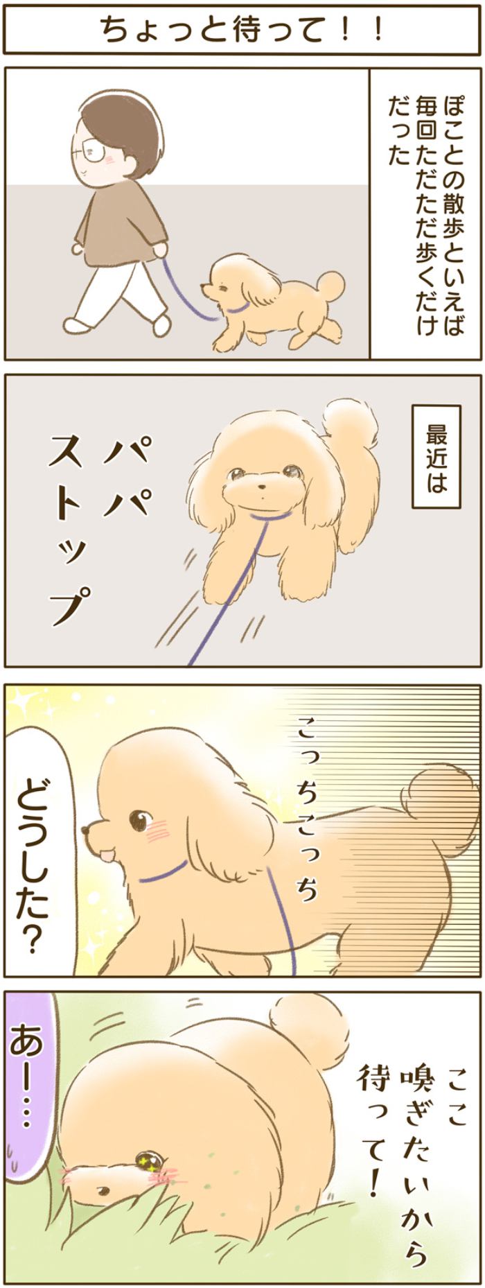 ふわふわぽこ。【第168話】