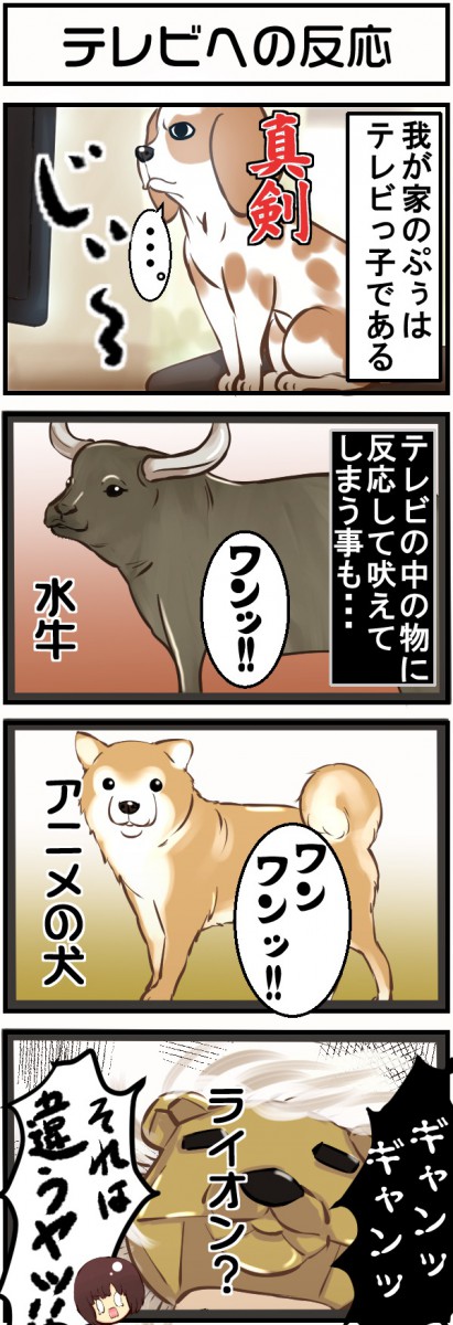 4コマ