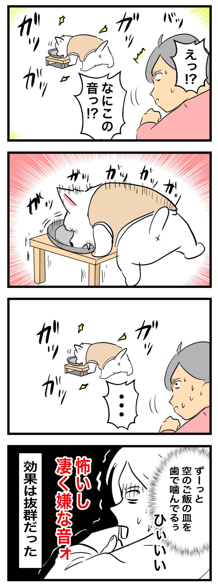 ちーちゃんですけどもっ【第355
話】　2