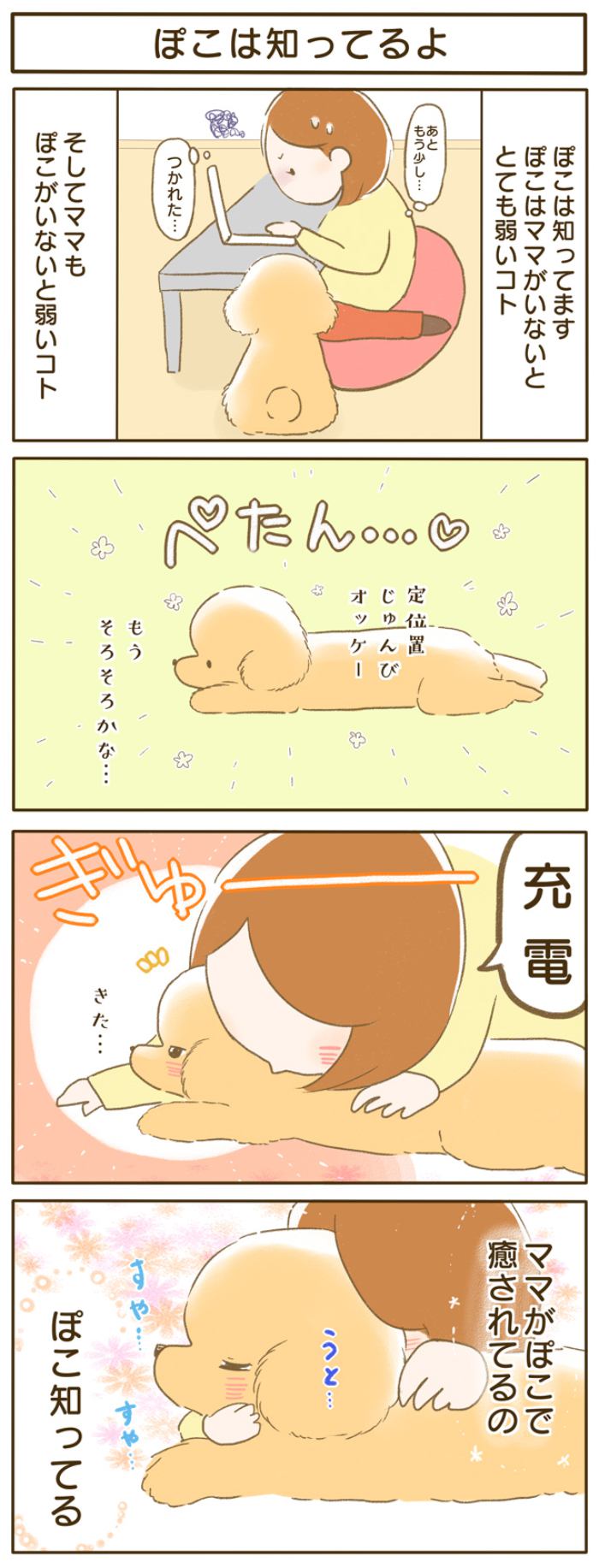 ふわふわぽこ。【第96話】