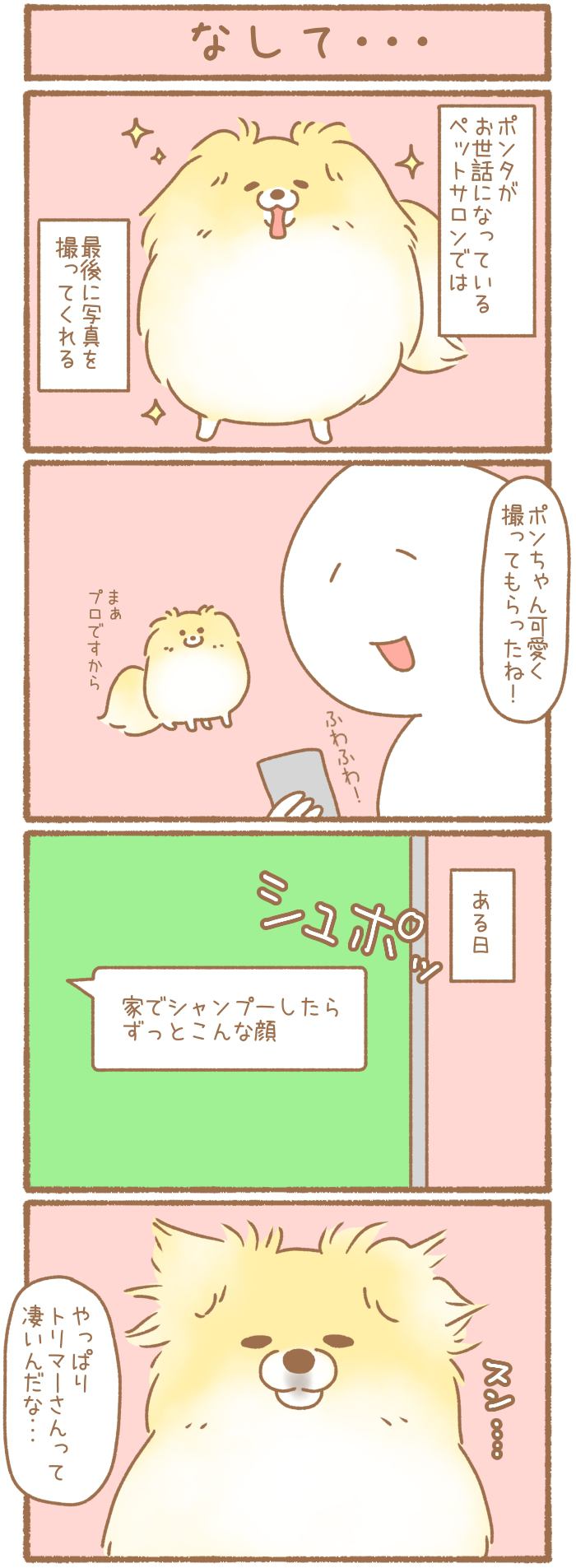 ただの犬好きです。【第271話】