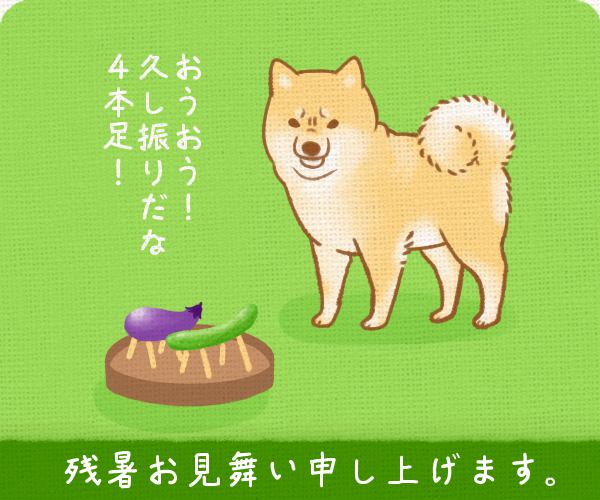 ただの犬好きです。第65話 残暑お見舞いイラスト