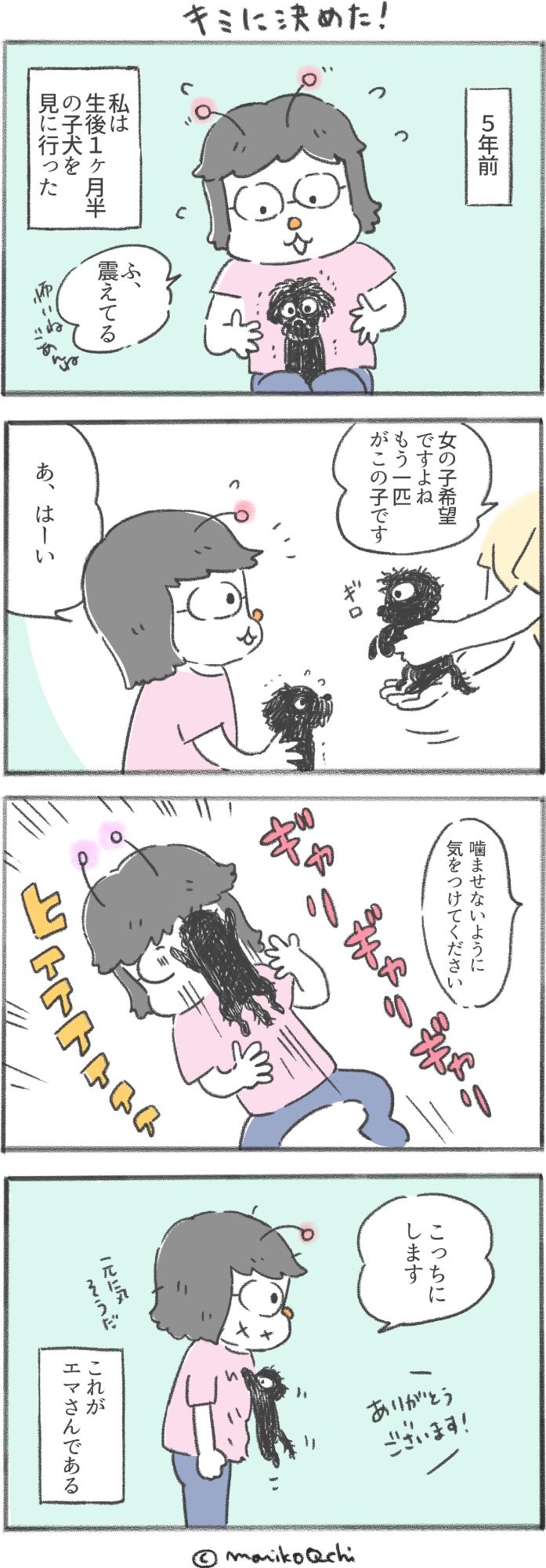 犬と暮らせば第91話