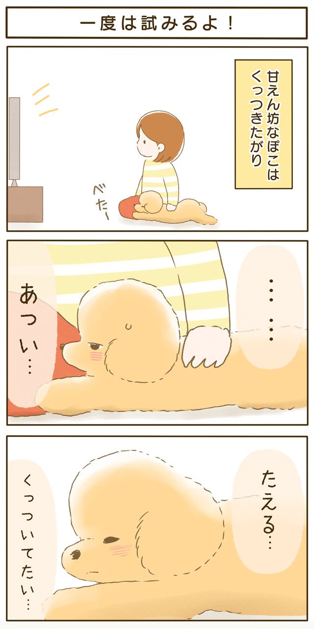 ふわふわぽこ。第39話1枚目