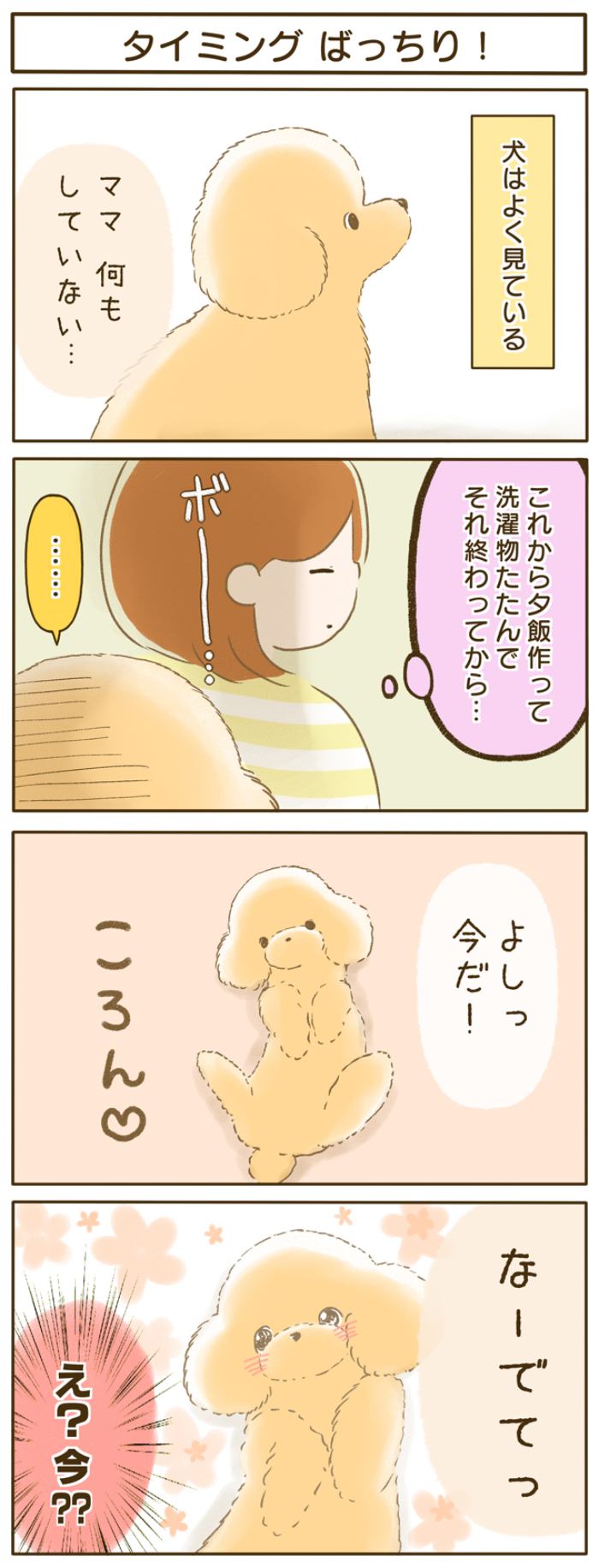 ふわふわぽこ。第54話