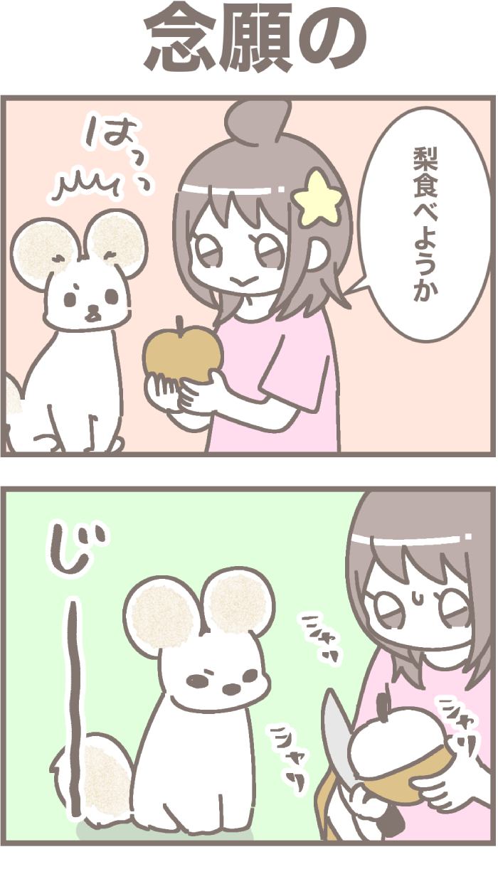 うちの王様にはどうしても抗えない第67話1枚目