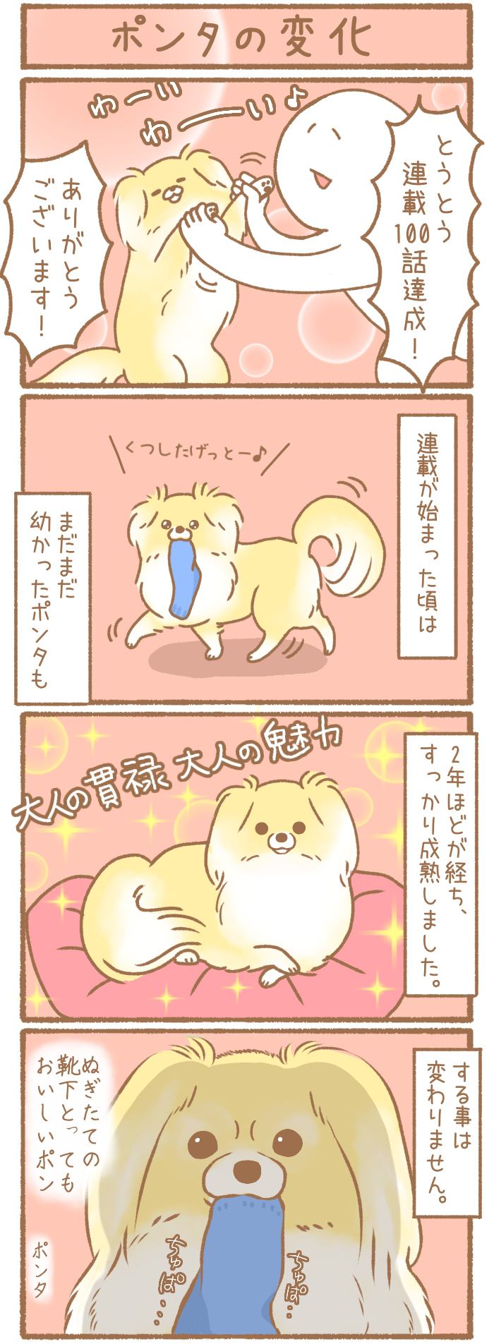 ただの犬好きです。第100話