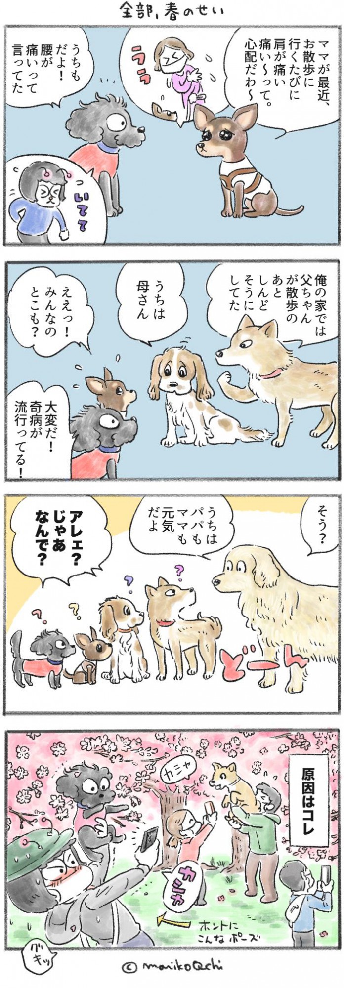 犬と暮らせば【第284話】