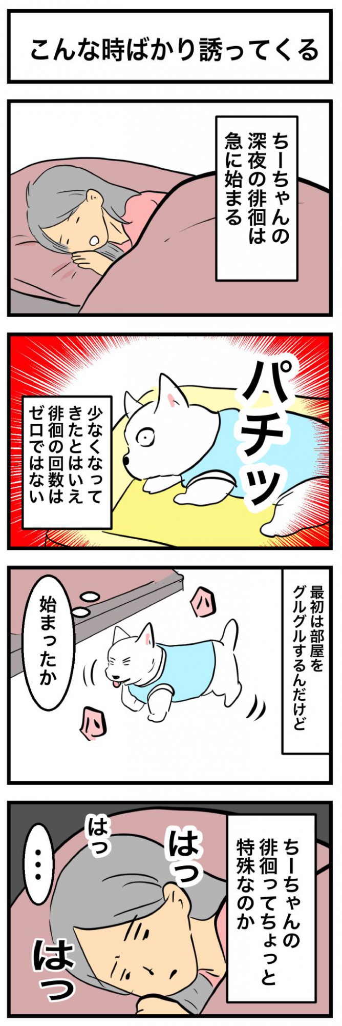 ちーちゃんですけどもっ【第360話】　1