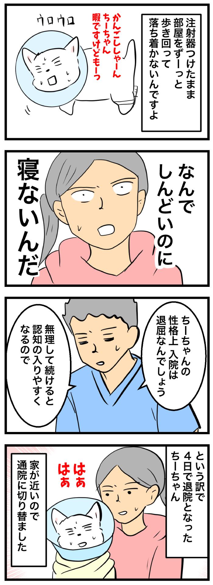 ちーちゃんですけどもっ【第338話】２