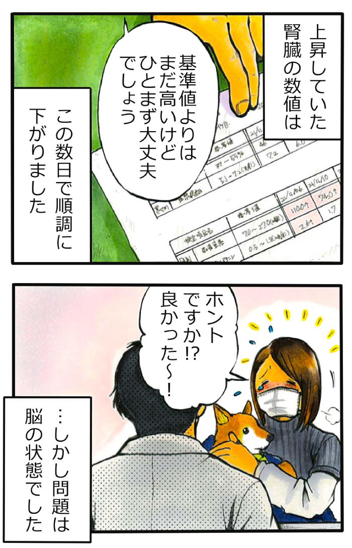 てんてこ、てん。【第81話】