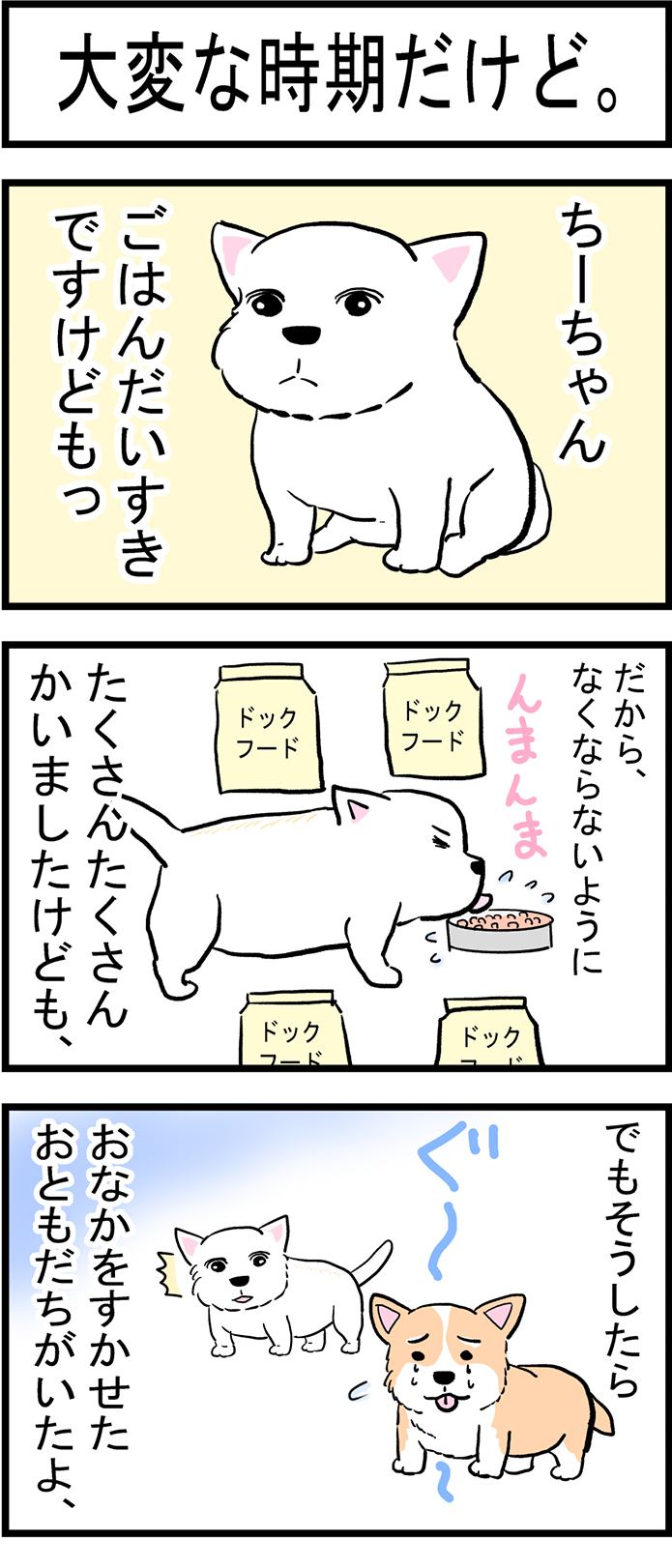 ちーちゃんですけどもっ第43話1枚目