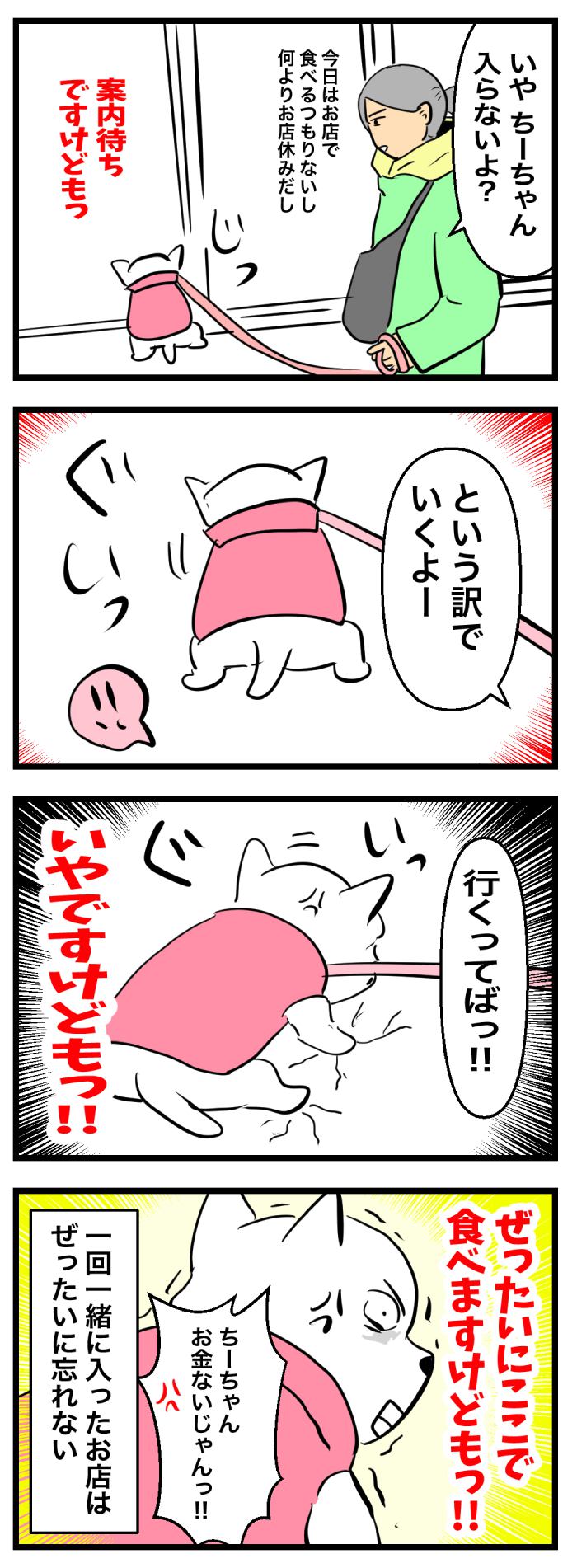 ちーちゃんですけどもっ【第293話】２