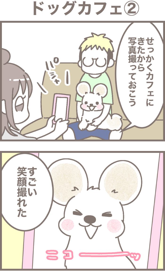 うちの王様にはどうしても抗えない第48話1枚目