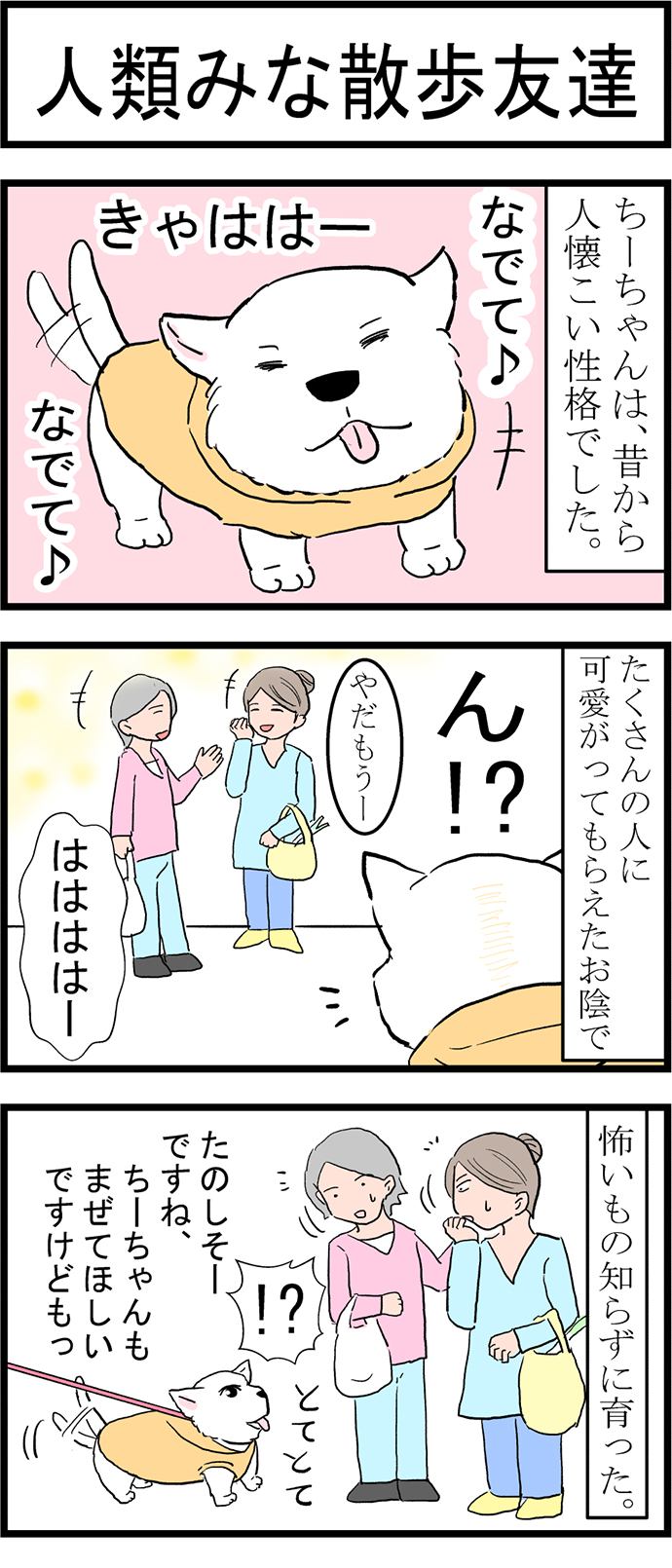 ちーちゃんですけどもっ第37話1枚目