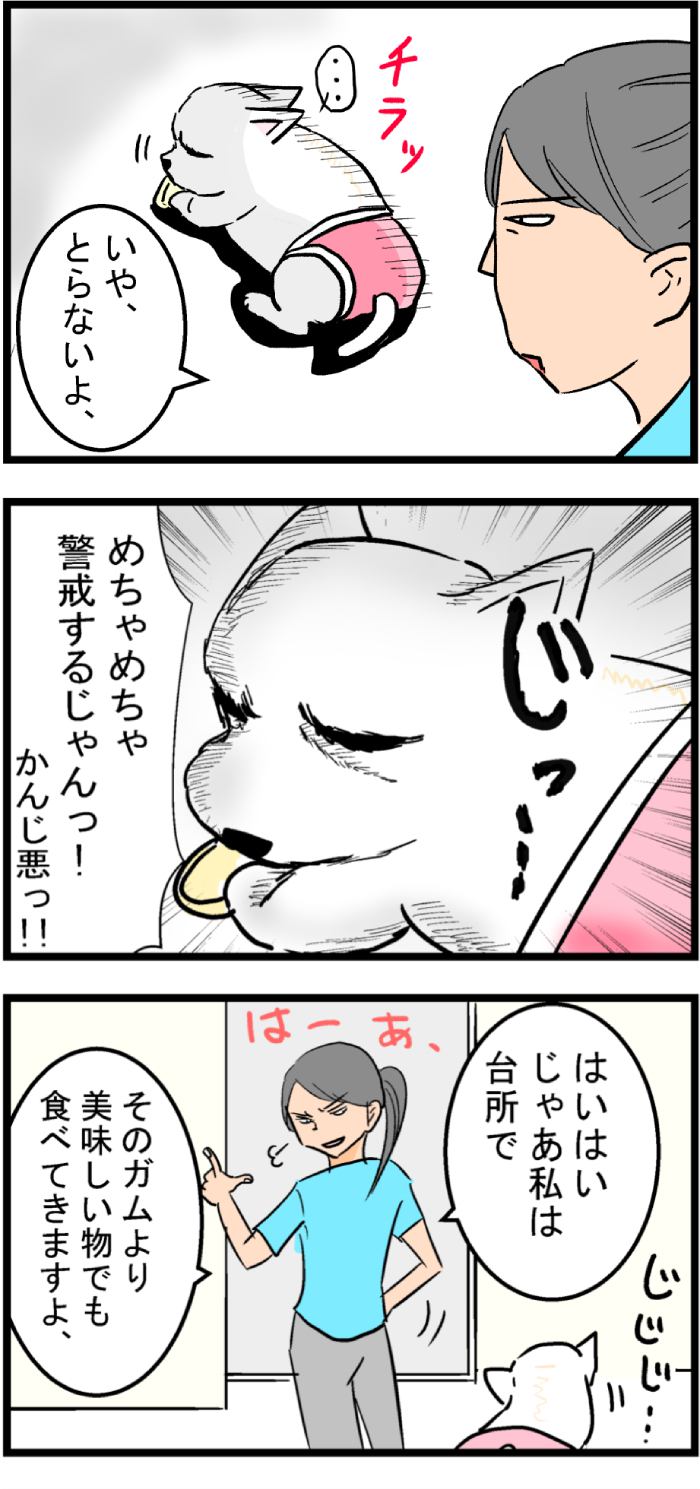 ちーちゃんですけどもっ第59話2枚目