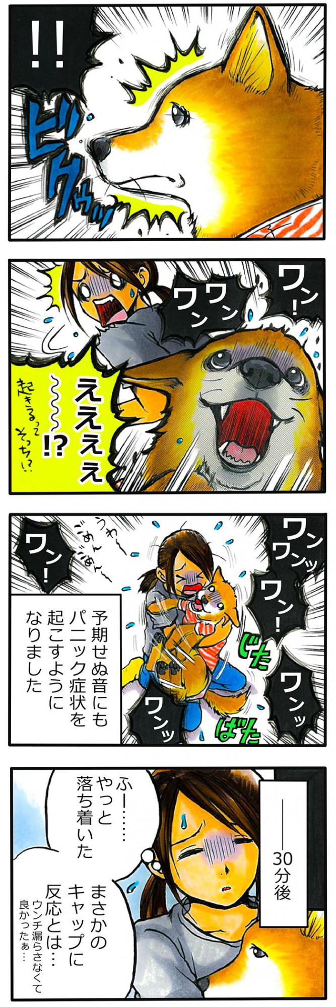 てんてこ、てん。【第71話】3