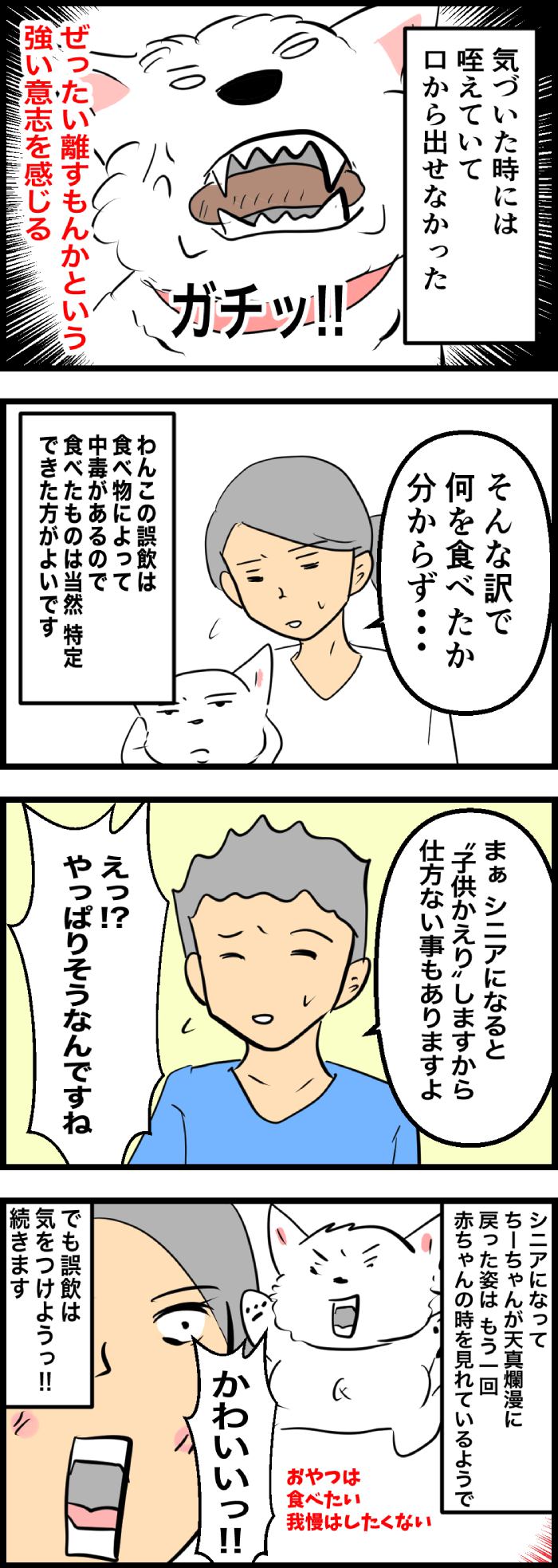 ちーちゃんですけどもっ【第309話】2