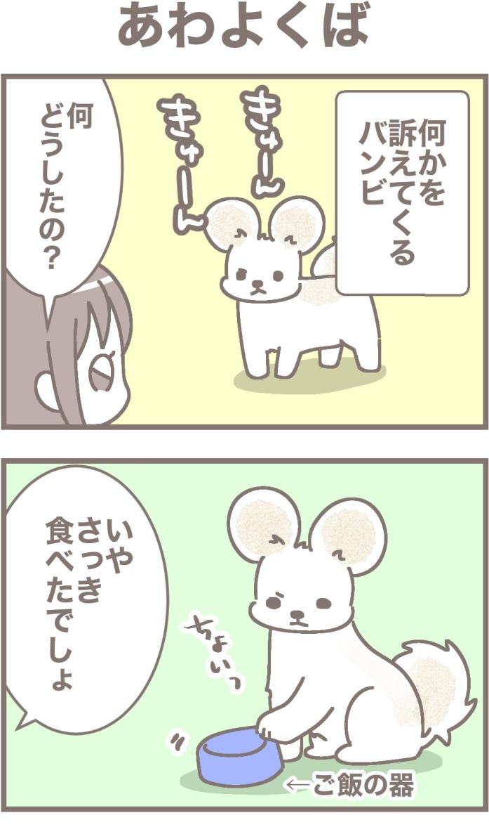 うちの王様にはどうしてもあらがえない第40話1枚目