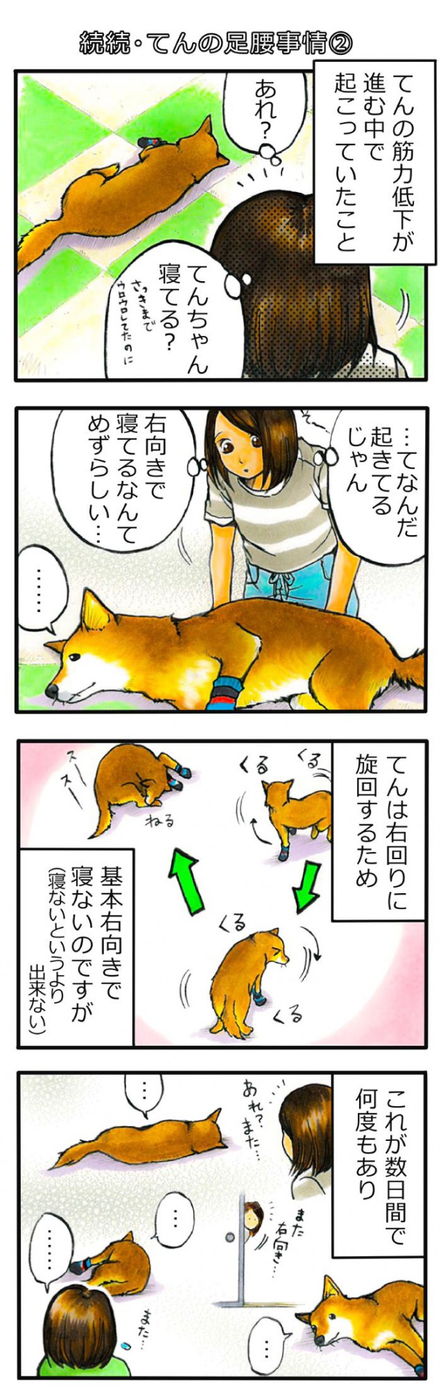 てんてこ、てん。【第68話】1