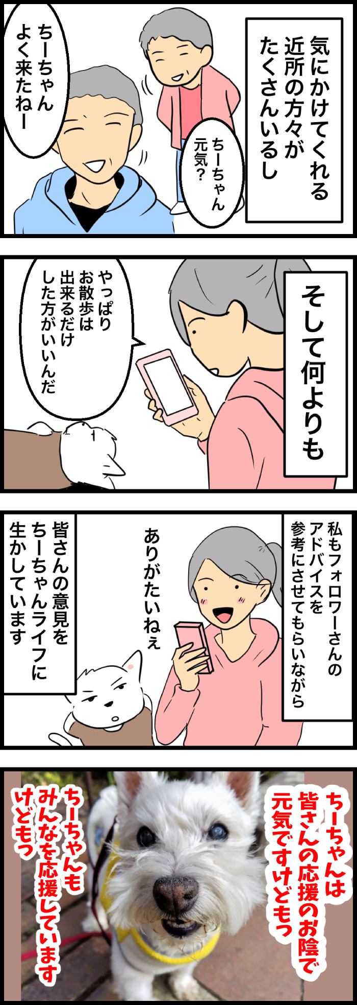 ちーちゃんですけどもっ【第336話】2