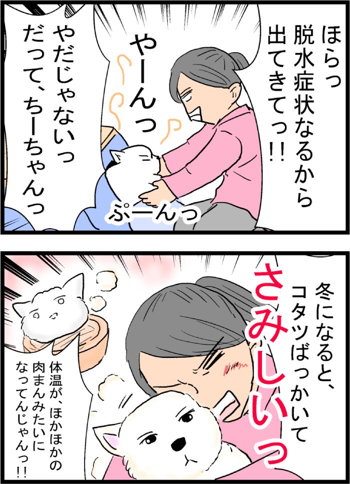 ちーちゃんですけどもっ第86話3枚目