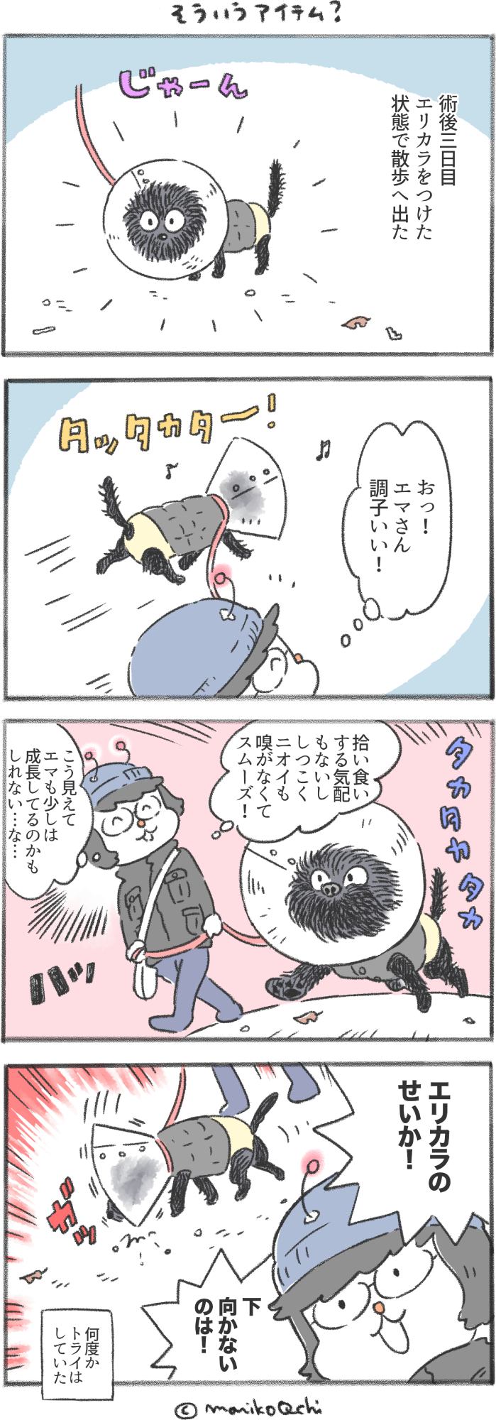 犬と暮らせば 第166話