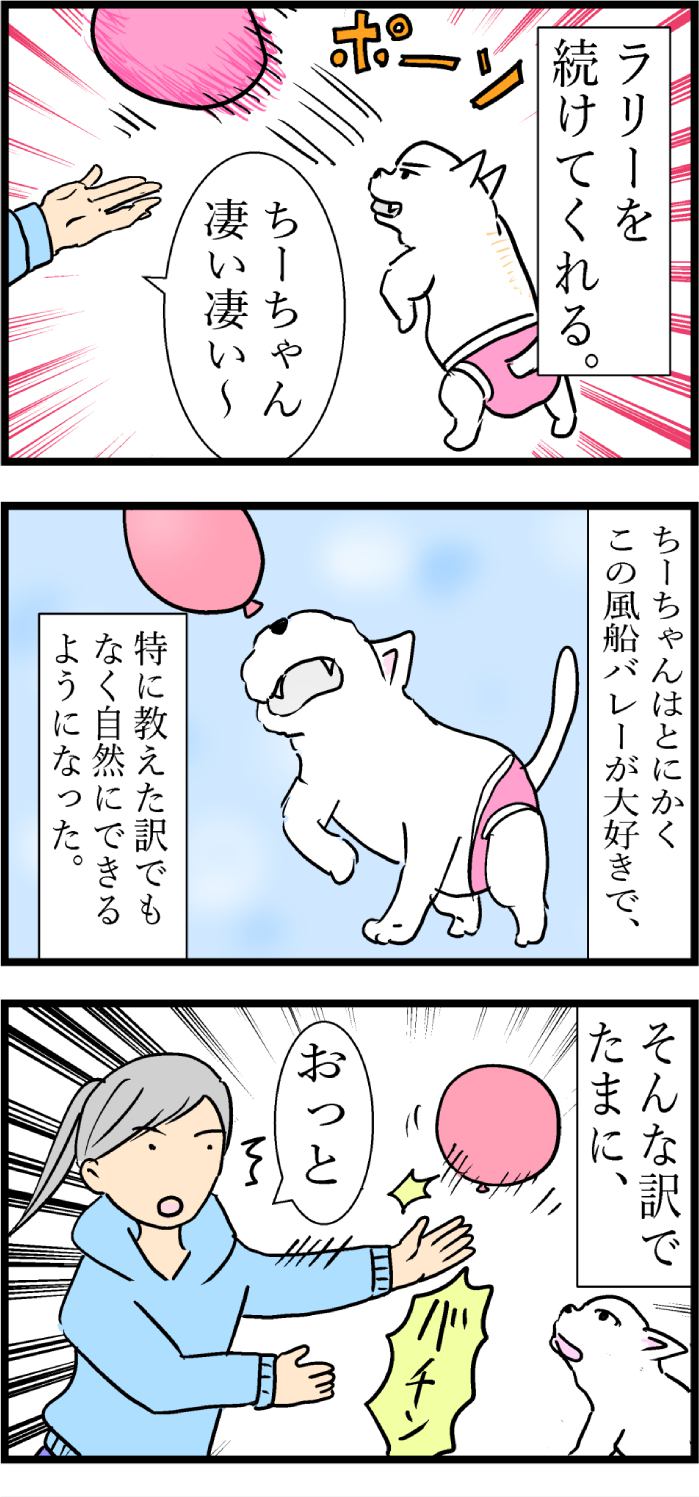 ちーちゃんですけどもっ第92話2枚目