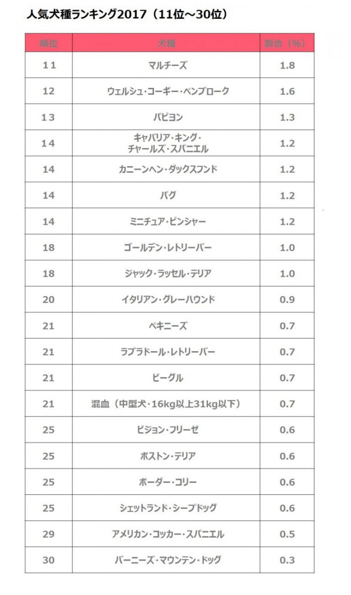 cat_ranking_11_30