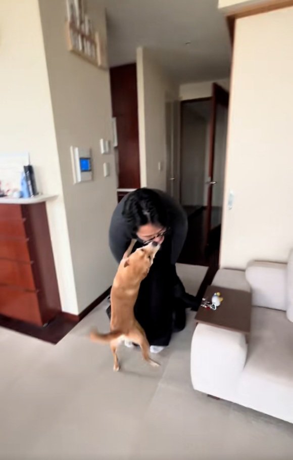 お兄ちゃんの顔に飛びつくごぅちゃん