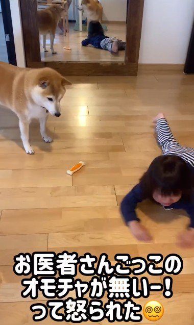 心配そうな豆介ちゃん…