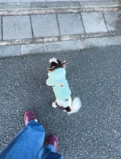 毎日通ってる！？