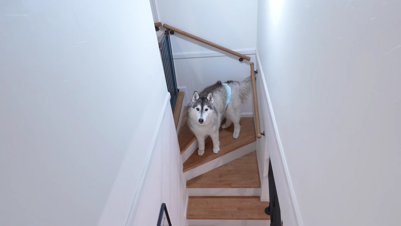 バディくんが置いてけぼりに