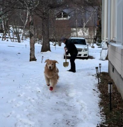 「早く遊ぼう～！！」