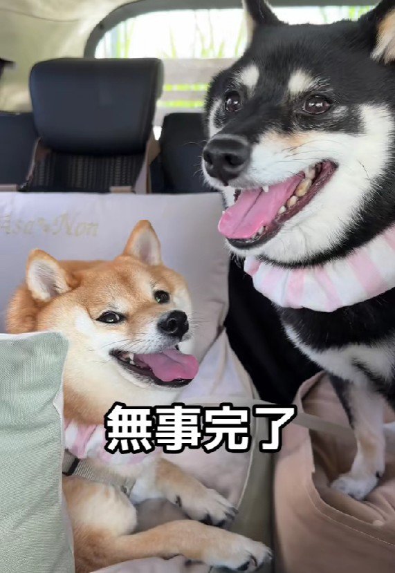 2匹とも頑張ったね！！