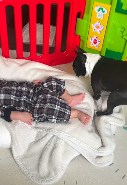 赤ちゃんと一緒に寝たくて…