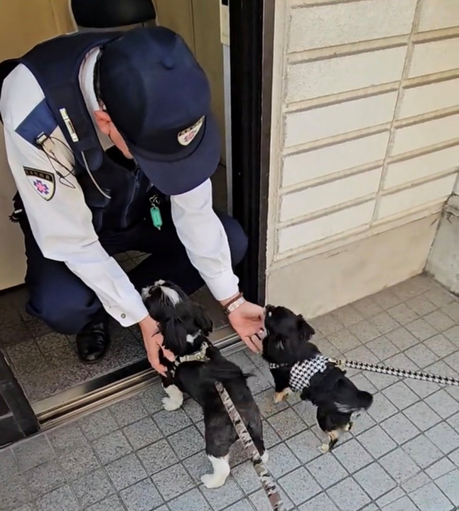 優しく手を差し伸べる警察官と犬たち