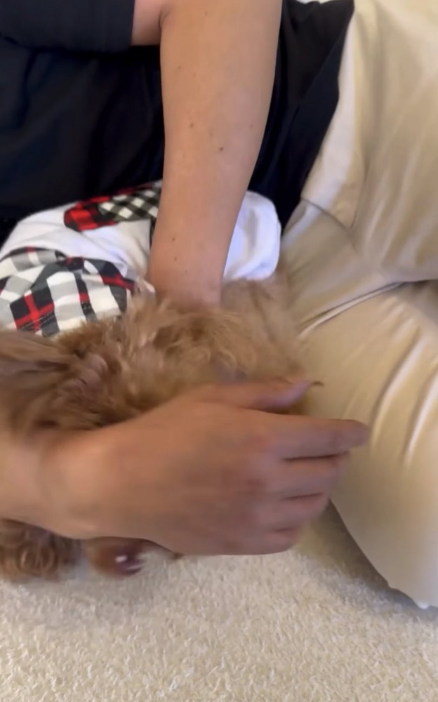 犬にハグをするパパ