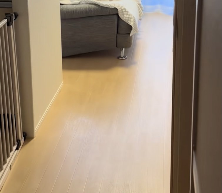 ソファに何かいる…