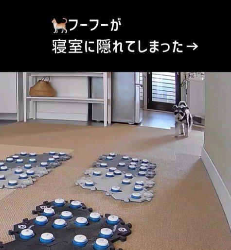 告げ口するモネちゃん2