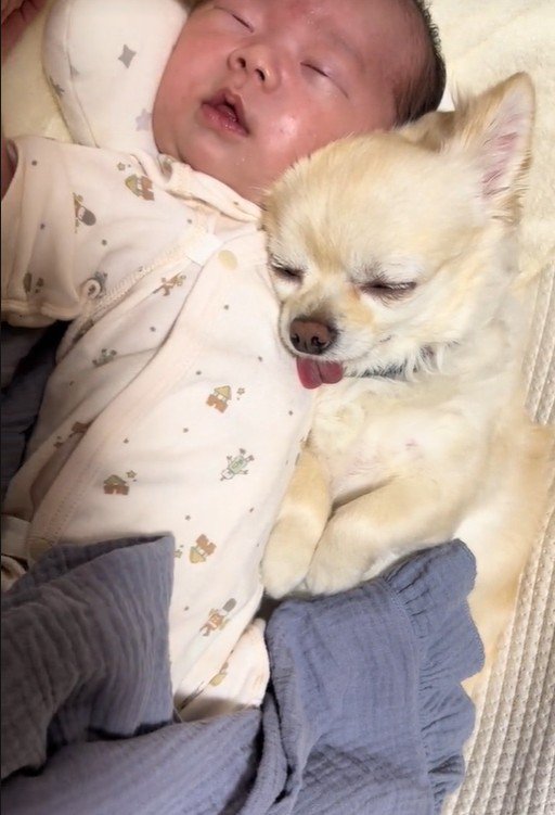 赤ちゃんを枕に♪