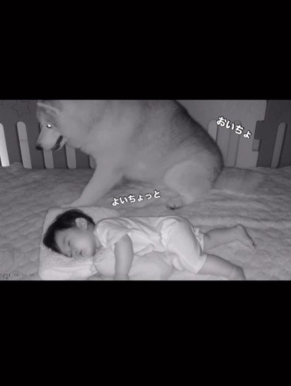 「よいしょ、よいしょ」