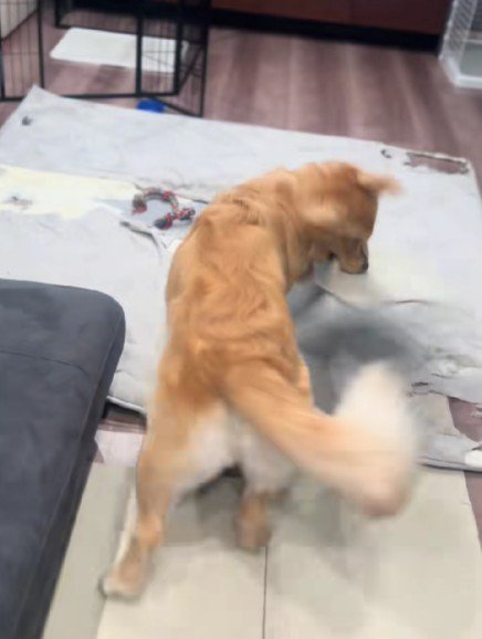 マットに八つ当たり！！