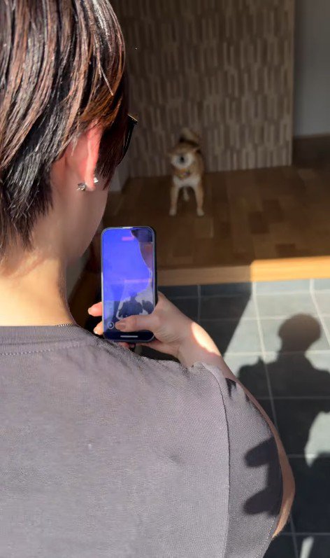 お友達が遊びに来た時のはちちゃん3