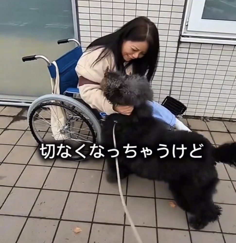 女性に抱きついて甘える犬